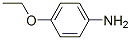 p-PHENETIDINE CAS#: 659-34-7
