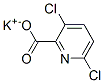 potassium 3,6-dichloropyridine-2-carboxylate CAS#: 58509-83-4