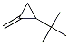 1-(1,1-Dimethylethyl)-2-methylenecyclopropane CAS#: 61142-25-4