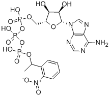 1-(2-NITROPHENYL)ETHYL ADENOSINE TRIPHOSPHATE CAS#: 67030-27-7