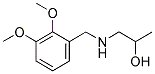 1-(2,3-DIMETHOXY-BENZYLAMINO)-PROPAN-2-OL CAS#: 626207-91-8
