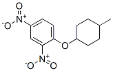1-[(4-Methylcyclohexyl)oxy]-2,4-dinitrobenzene CAS#: 7504-65-6