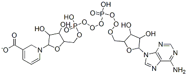 1-[5-[[[[5-(6-aminopurin-9-yl)-3,4-dihydroxy-oxolan-2-yl]methoxy-hydroxy-phosphoryl]oxy-hydroxy-phosphoryl]oxymethyl]-3,4-dihydroxy-oxolan-2-yl]pyridine-5-carboxylate CAS#: 6450-77-7