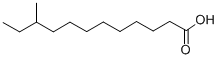 10-METHYLDODECANOIC ACID CAS#: 7416-57-1