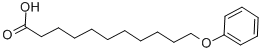11-PHENOXYUNDECANOIC ACID CAS#: 7170-44-7