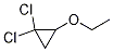 1,1-dichloro-2-ethoxycyclopropane CAS#: 7363-99-7