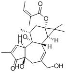 12-deoxyphorbol-13-angelate CAS#: 65700-60-9