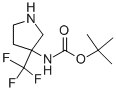 TERT-BUTYL[3-(TRIFLUOROMETHYLPYRROLIDINE-3-YL)]CARBAMATE CAS#: 186203-13-4