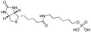 1H-Thieno[3,4-d]iMidazole-4-pentanaMide, hexahydro-2-oxo-N-[6-(phosphonooxy)hexyl]-, (3aS,4S,6aR)- CAS#: 566945-94-6