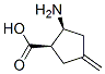 (1R,2S)-2-amino-4-methylidene-cyclopentane-1-carboxylic acid CAS#: 526194-96-7