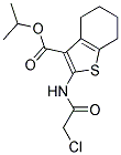 2-(2-CHLORO-ACETYLAMINO)-4,5,6,7-TETRAHYDRO-BENZO[B]THIOPHENE-3-CARBOXYLIC ACID ISOPROPYL ESTER CAS#: 560080-98-0