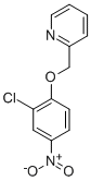 2-[(2-Chloro-4-nitrophenoxy)methyl]pyridine CAS#: 179687-79-7