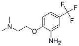 2-[2-(DIMETHYLAMINO)ETHOXY]-5-(TRIFLUOROMETHYL)-ANILINE CAS#: 685533-95-3