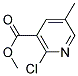 2-CHLORO-5-METHYL-NICOTINIC ACID METHYL ESTER CAS#: 65169-43-9