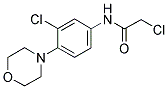 2-CHLORO-N-(3-CHLORO-4-MORPHOLIN-4-YL-PHENYL)-ACETAMIDE CAS#: 669703-49-5