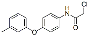 2-CHLORO-N-[4-(3-METHYLPHENOXY)PHENYL]ACETAMIDE CAS#: 69838-52-4