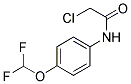 2-CHLORO-N-(4-DIFLUOROMETHOXY-PHENYL)-ACETAMIDE CAS#: 554440-01-6
