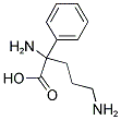 2-PHENYLORNITHINE CAS#: 690945-50-7