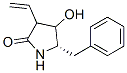 2-Pyrrolidinone, 3-ethenyl-4-hydroxy-5-(phenylmethyl)-, (5S)- (9CI) CAS#: 624743-12-0