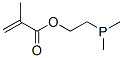 2-(dimethylphosphino)ethyl methacrylate CAS#: 67905-47-9