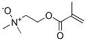 [2-(methacryloyloxy)ethyl]dimethylammonium N-oxide CAS#: 65605-52-9