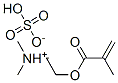 [2-(methacryloyloxy)ethyl]dimethylammonium hydrogen sulphate CAS#: 67939-26-8