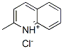 2-methylquinolinium chloride CAS#: 62763-89-7