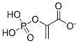 2-(phosphonooxy)acrylate CAS#: 73-89-2