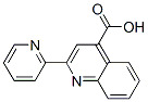 2-pyridin-2-ylquinoline-4-carboxylic acid CAS#: 7491-86-3