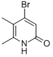 2(1H)-Pyridinone,4-bromo-5,6-dimethyl- CAS#: 640721-49-9