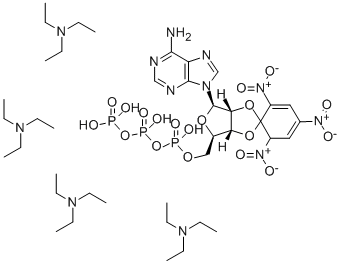 2',3'-O-(2,4,6-TRINITROPHENYL) ADENOSINE 5'-TRIPHOSPHATE MONOLITHIUM TRISODIUM SALT CAS#: 61368-63-6