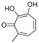 2,4,6-Cycloheptatrien-1-one, 2,3-dihydroxy-7-methyl- (9CI) CAS#: 690233-50-2
