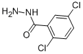 2,5-DICHLOROBENZHYDRAZIDE CAS#: 67487-35-8