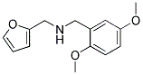 (2,5-DIMETHOXY-BENZYL)-FURAN-2-YLMETHYL-AMINE CAS#: 626205-86-5