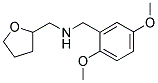 (2,5-DIMETHOXY-BENZYL)-(TETRAHYDRO-FURAN-2-YL-METHYL)-AMINE CAS#: 626205-87-6