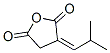 2,5-Furandione, dihydro-3-(2-methylpropylidene)-, (3Z)- (9CI) CAS#: 609360-79-4