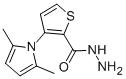 3-(2,5-DIMETHYL-1H-PYRROL-1-YL)-2-THIOPHENECARBOHYDRAZIDE CAS#: 666724-62-5