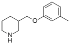 3-[(3-METHYLPHENOXY)METHYL]PIPERIDINE CAS#: 693764-34-0