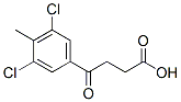 3-(3,5-Dichloro-4-methylbenzoyl)propionic acid CAS#: 62903-05-3
