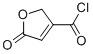 3-Furancarbonyl chloride, 2,5-dihydro-5-oxo- (9CI) CAS#: 64124-99-8