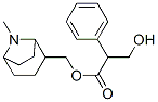 3-Hydroxy-2-phenylpropionic acid (8-methyl-8-azabicyclo[3.2.1]octan-2-yl)methyl ester CAS#: 67466-04-0