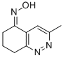 3-METHYL-5,6,7,8-TETRAHYDROCINNOLIN-5-ONE OXIME CAS#: 184021-51-0