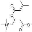 3-Methylcrotonyl L-Carnitine CAS#: 64656-41-3