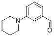 3-PIPERIDINOBENZALDEHYDE CAS#: 669050-72-0
