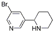 3-bromo-5-(piperidin-2-yl)pyridine CAS#: 179119-97-2