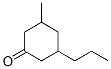 3-methyl-5-propylcyclohexan-1-one CAS#: 67662-98-0