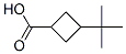 3-tert-Butylcyclobutanecarboxylic acid CAS#: 66016-27-1