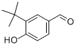 3-(tert-butyl)-4-hydroxybenzaldehyde CAS#: 65678-11-7
