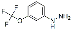 3-trifluoromethoxy phenylhydrazine CAS#: 650628-49-2