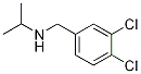 (3,4-Dichloro-benzyl)-isopropyl-aMine CAS#: 69957-82-0